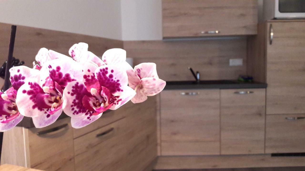 Appartment Charly Siusi Dış mekan fotoğraf